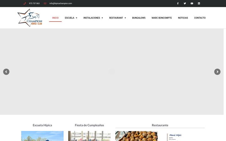 Screenshot of hipicachampion.com