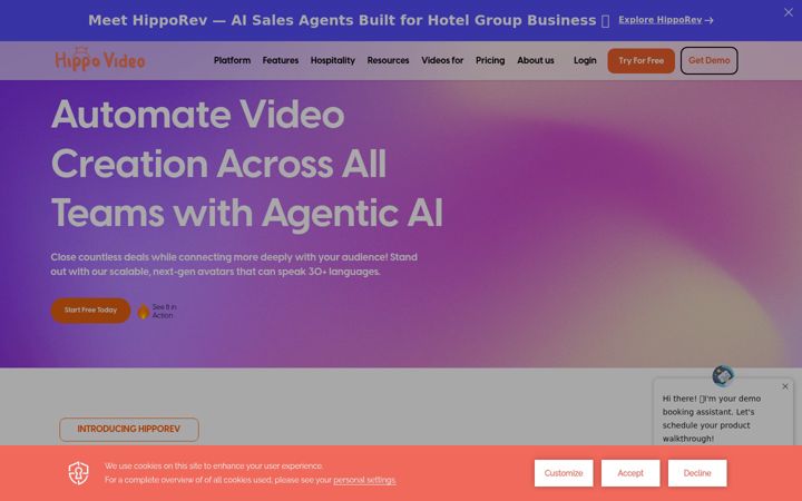 Screenshot of hippovideo.io