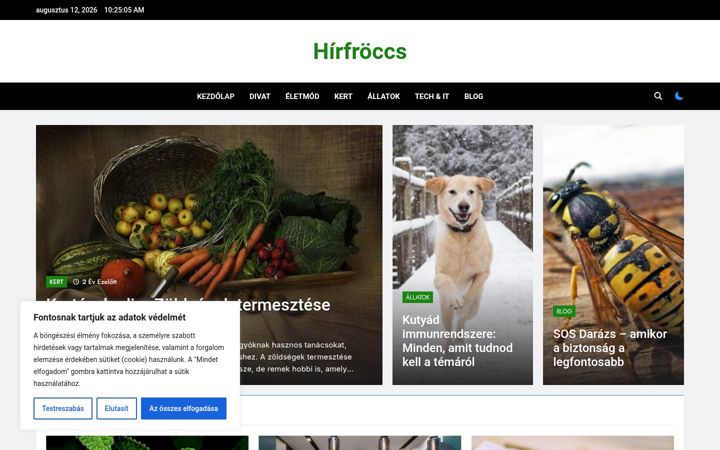 Screenshot of hirfroccs.hu