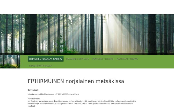 Screenshot of hirmuinen.fi