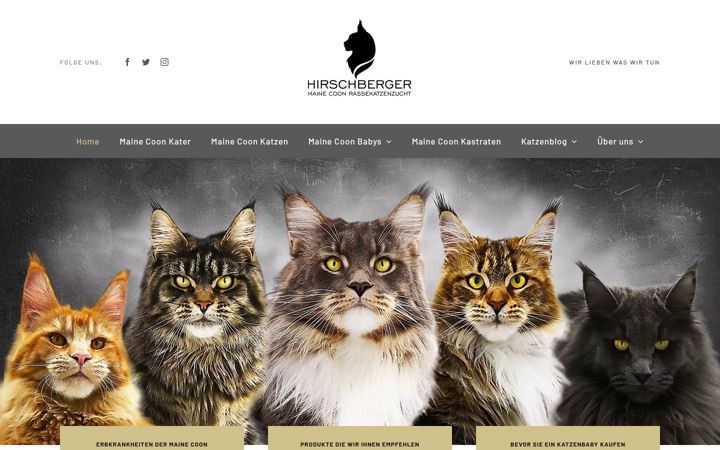 Screenshot of hirschberger-maine-coon.de