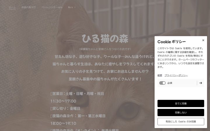 Screenshot of hirunekoweb.com