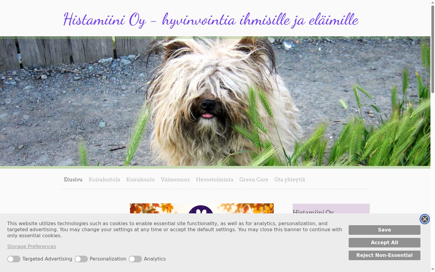 Ekrānuzņēmums ar piekrišanas baneri, kas tika rādīts pirms jebkādas mijiedarbības