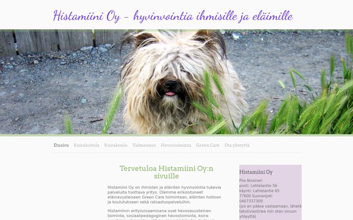 Screenshot of histamiini.fi
