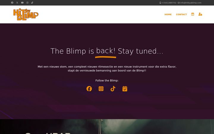 Screenshot of hitbyablimp.com
