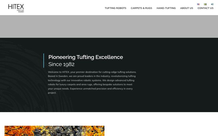 Screenshot of hitex.se
