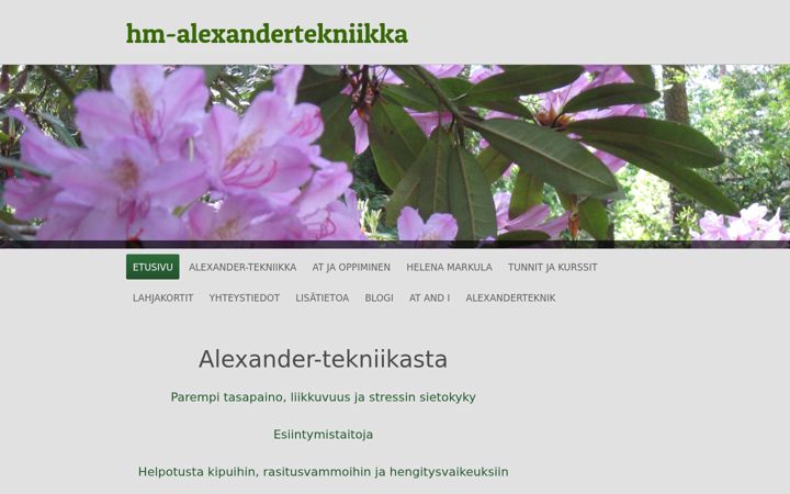 Screenshot of hmalexandertekniikka.com