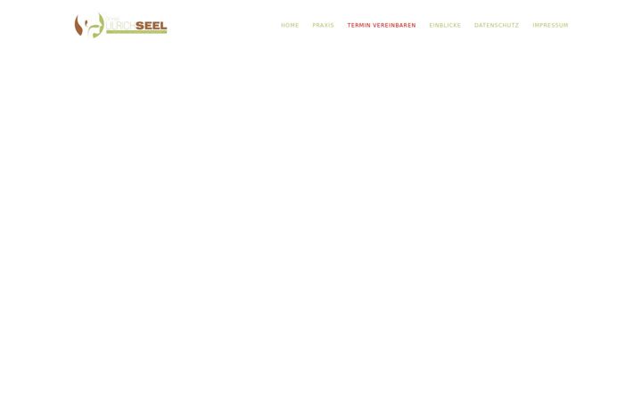 Screenshot of hno-seel.de