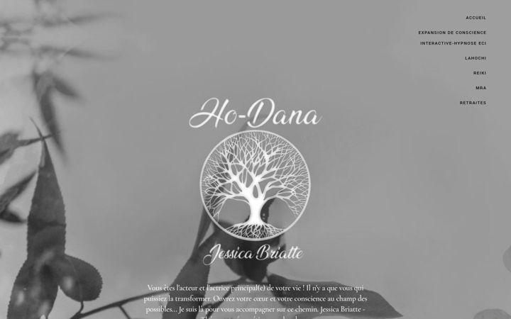 Screenshot of ho-dana.com