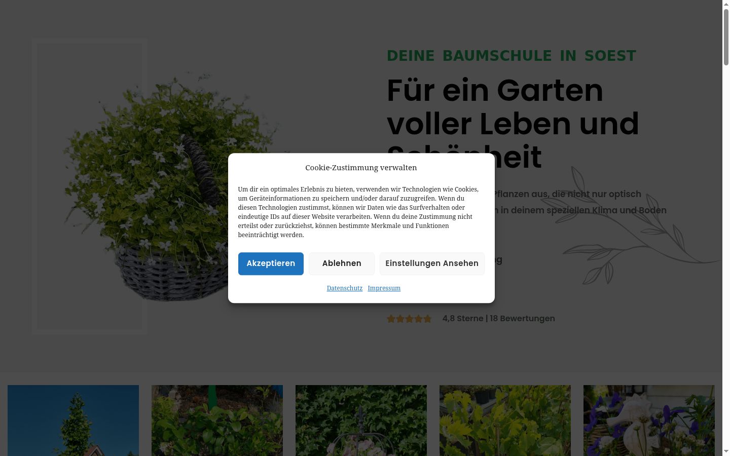 Screenshot of the consent banner shown before any interaction
