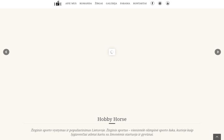 Posnetek zaslona hobbyhorse.lt