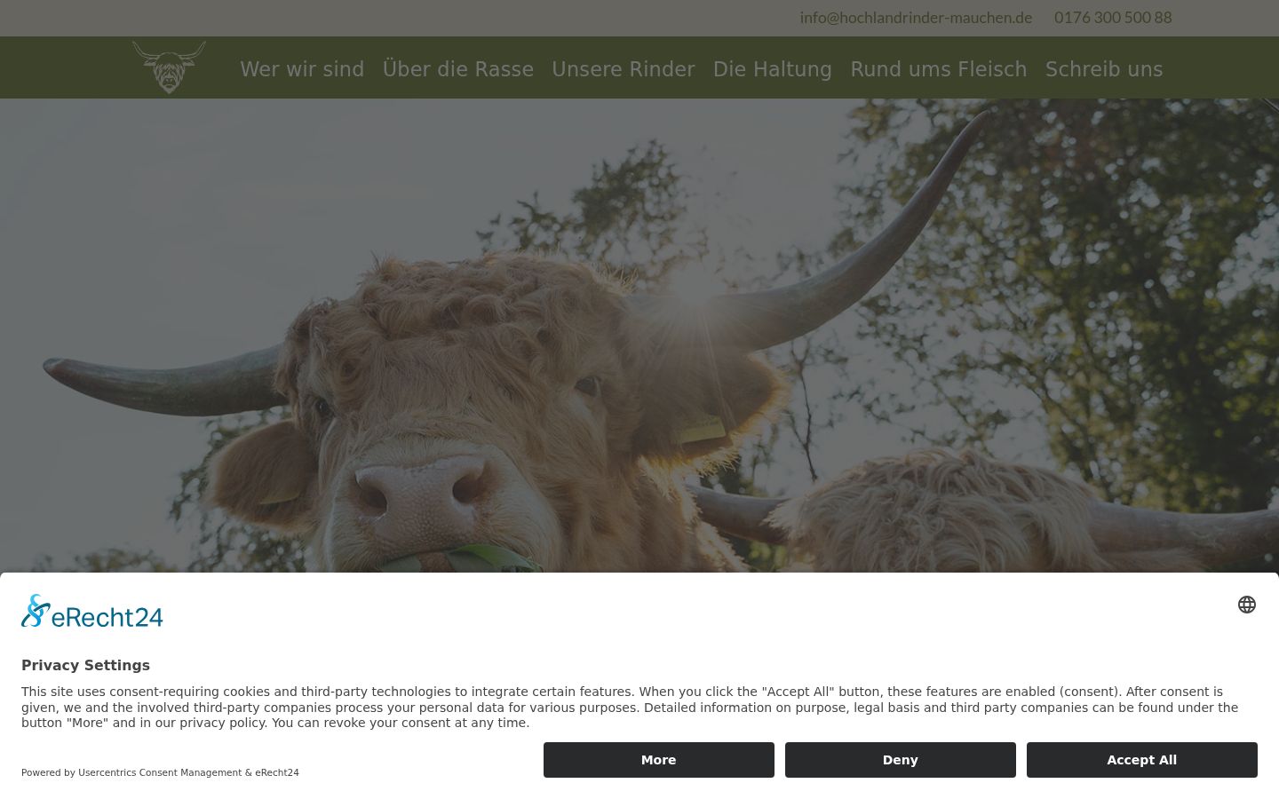 Screenshot van de toestemmingsbanner zoals getoond vóór enige interactie