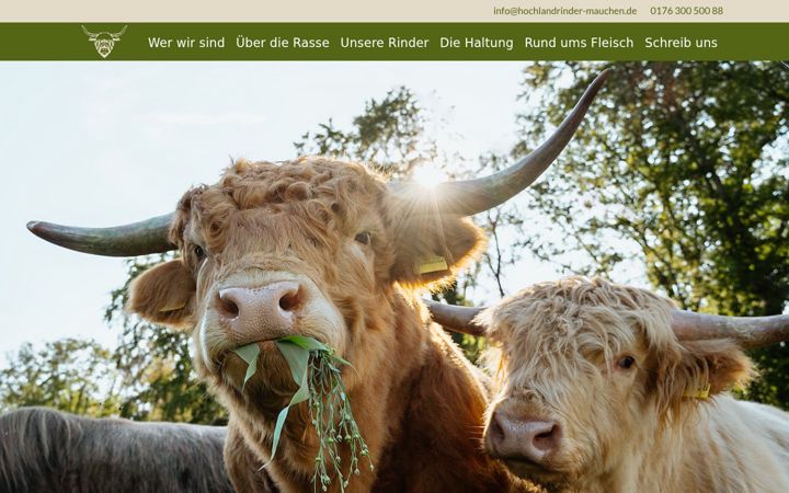 Screenshot of hochlandrinder-mauchen.de