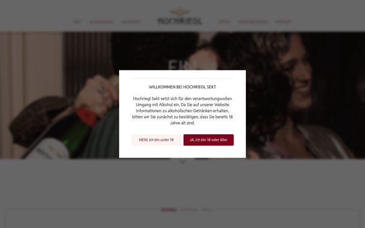 Screenshot of hochriegl.at