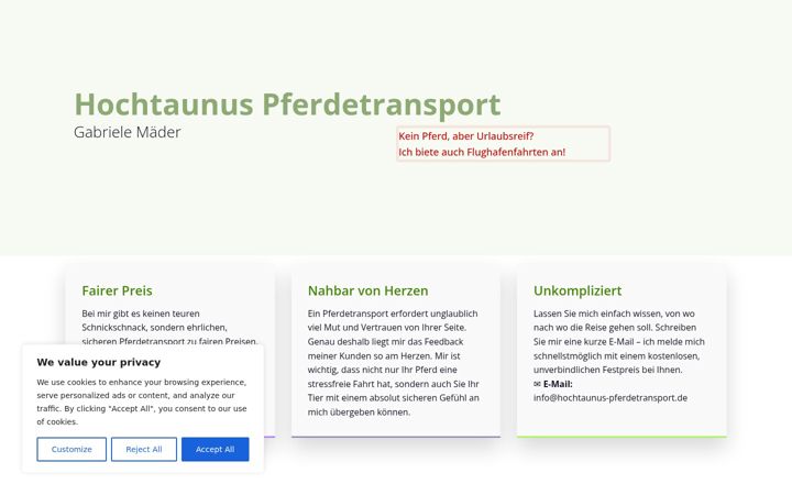 Screenshot of hochtaunus-flughafentransfer.de