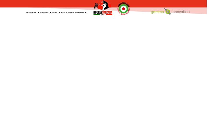 Screenshot of hockeysarzana.com