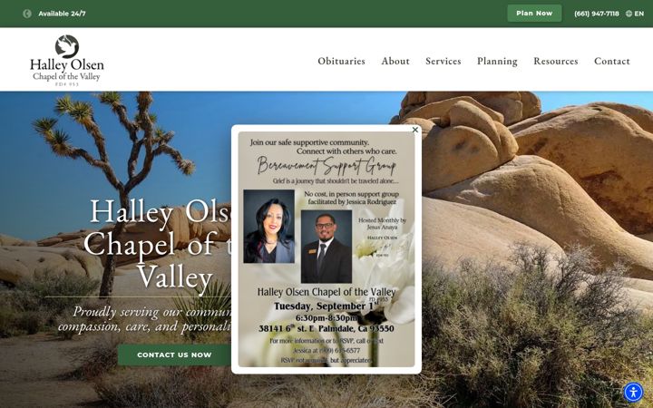 Screenshot of hocov.com