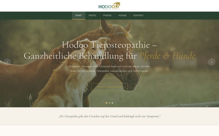 Screenshot of hodoo.de