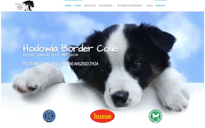Screenshot of hodowla-bordercollie.com.pl