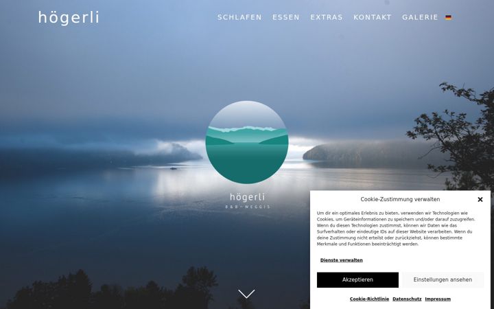 Screenshot of hoegerli.ch