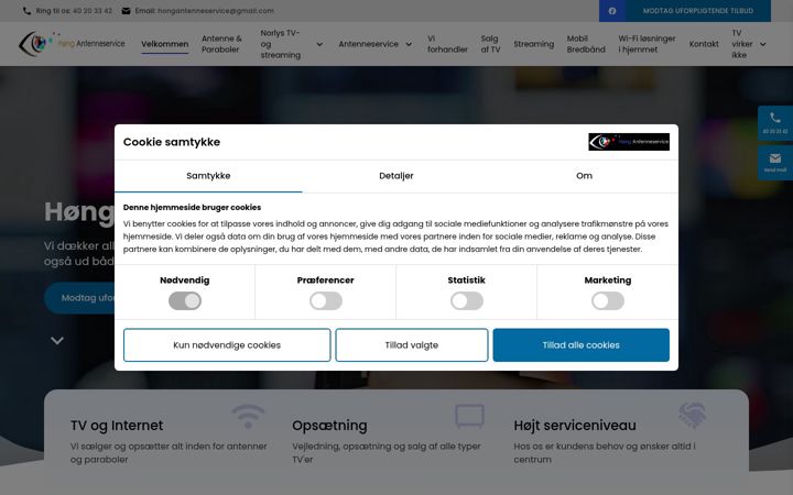 Screenshot of hoengantenneservice.dk