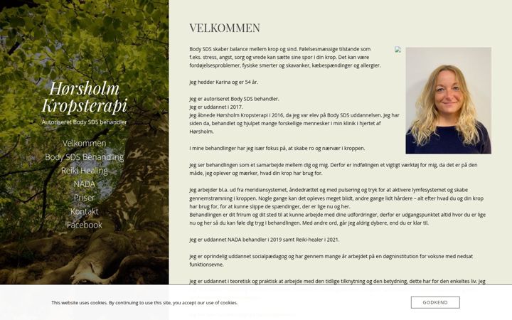 Screenshot of hoersholmkropsterapi.dk