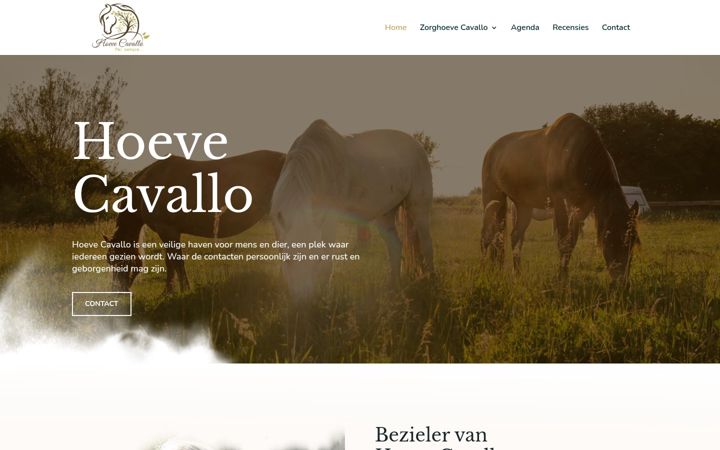 Screenshot of hoevecavallo.be