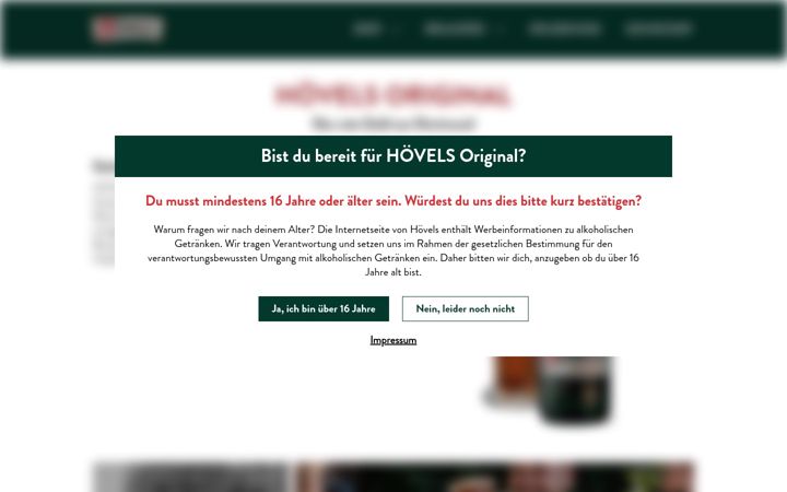 Screenshot of hoevels-original.de