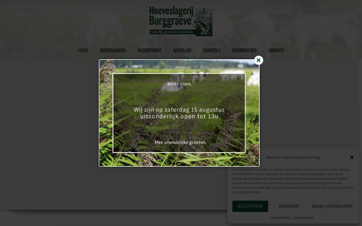 Screenshot of hoeveslagerij-burggraeve.be