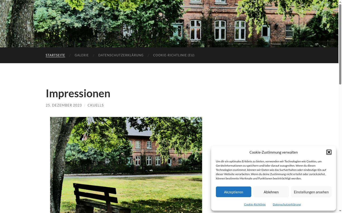 Screenshot des Einwilligungsbanners vor jeglicher Interaktion