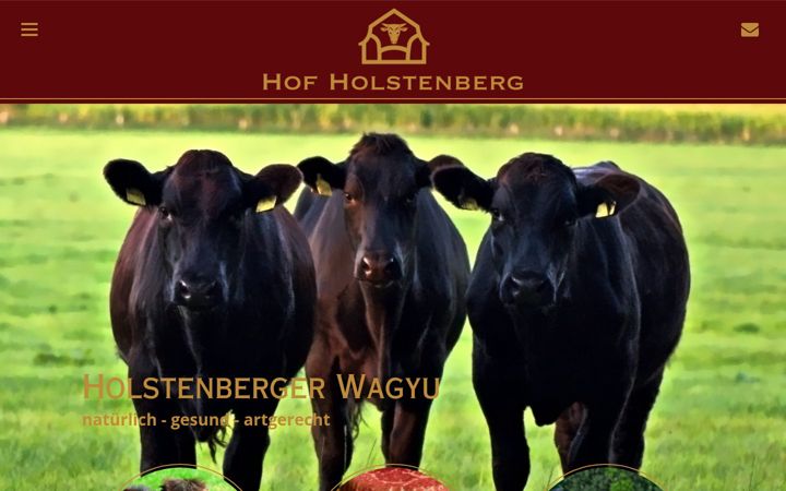 Screenshot of hof-holstenberg.de