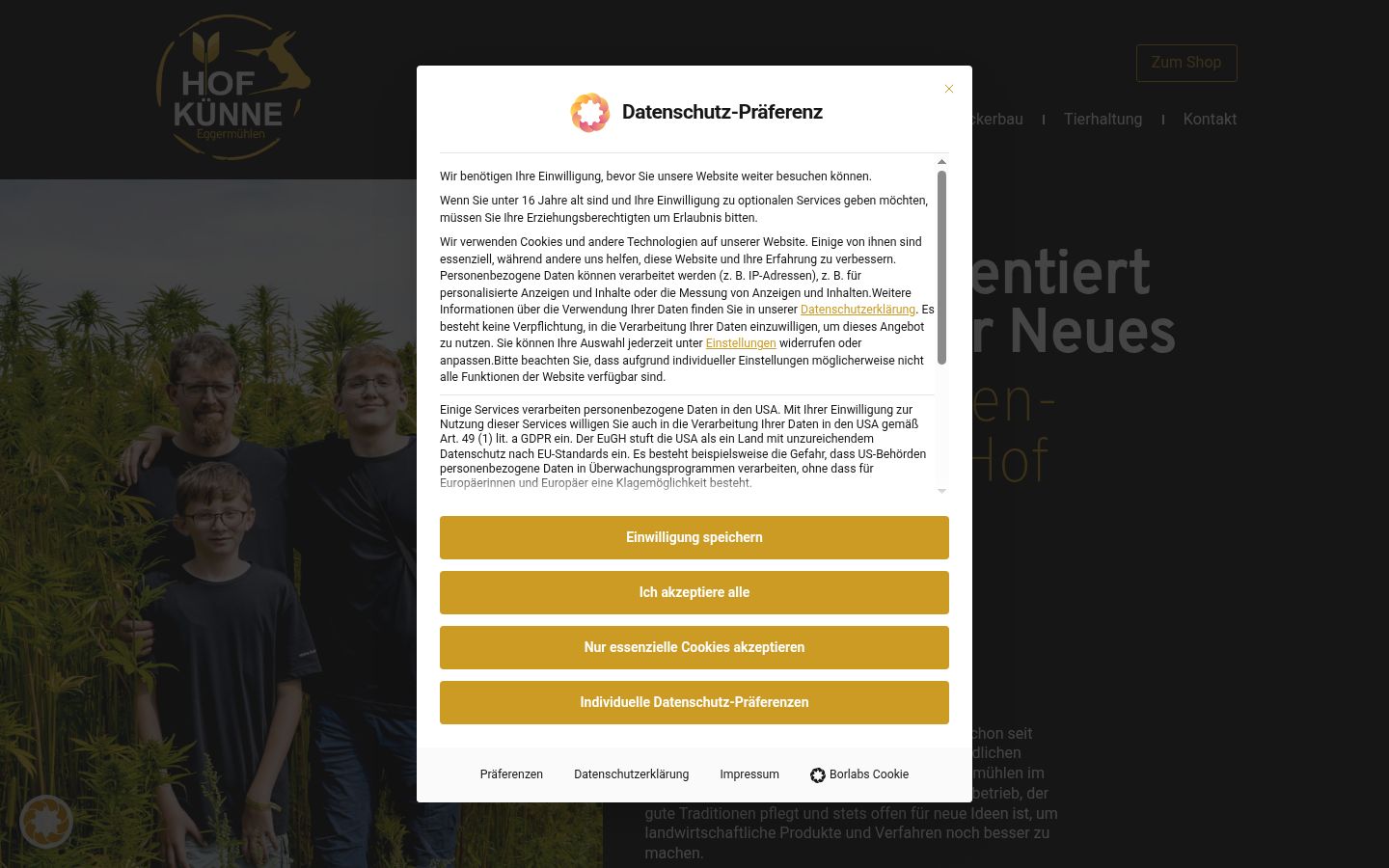 Skærmbillede af samtykkebanneret, som det blev vist før nogen interaktion