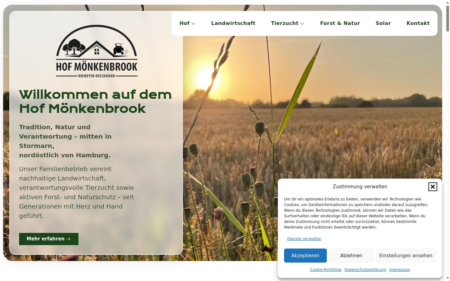 Screenshot van de toestemmingsbanner zoals getoond vóór enige interactie