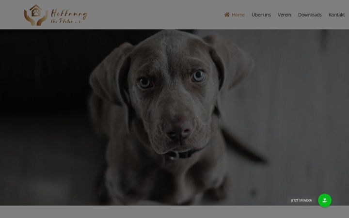 Screenshot of hoffnung-fuer-pfoten.de