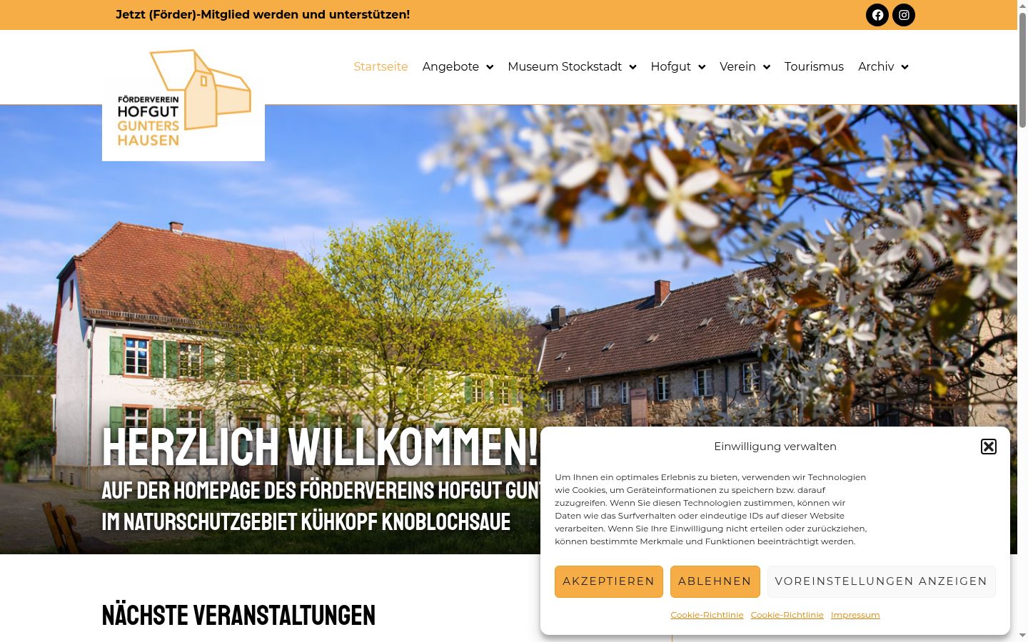Screenshot of the consent banner shown before any interaction