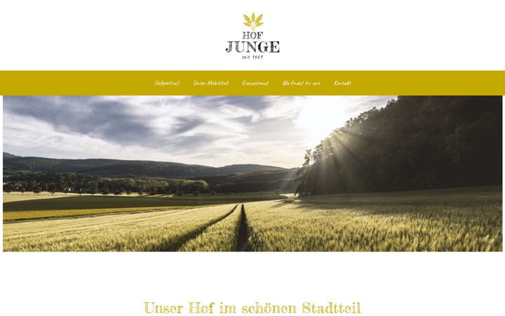 Screenshot of hofjunge.de