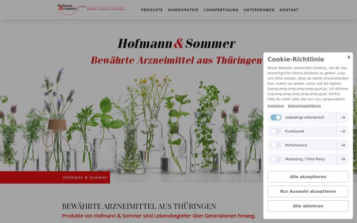 Screenshot of hofmannundsommer.de