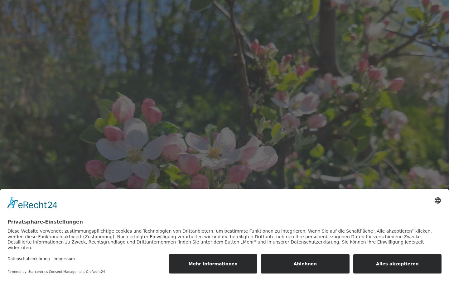 Capture d'écran de la bannière de consentement affichée avant toute interaction