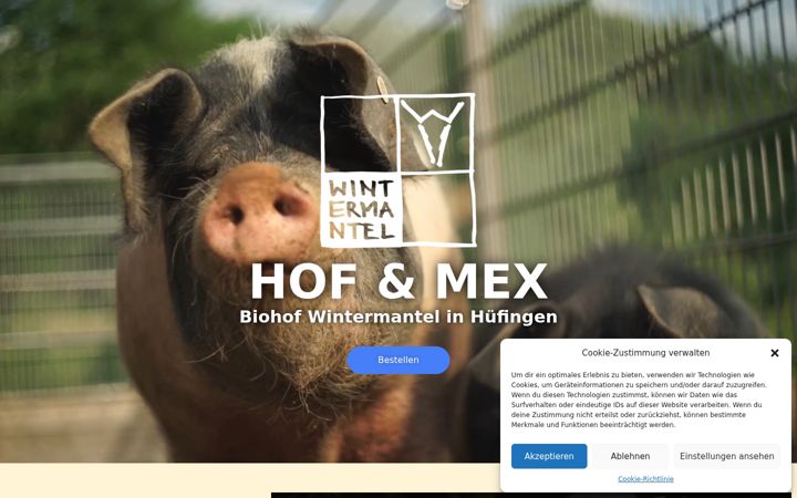 Screenshot of hofundmex.de