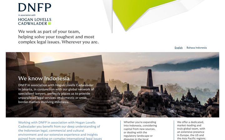 Screenshot of hoganlovellsdnfp.com