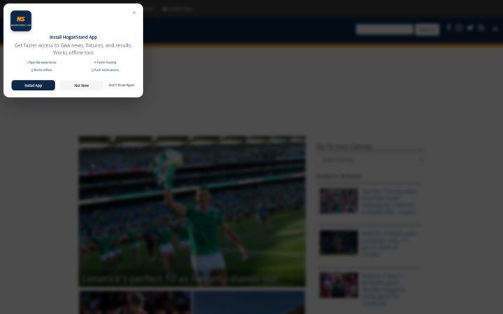 Screenshot of hoganstand.com