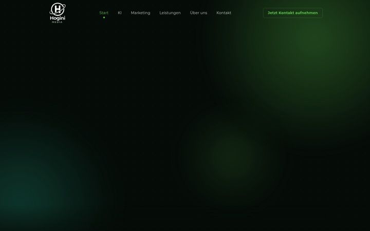Screenshot of hogini-media.de