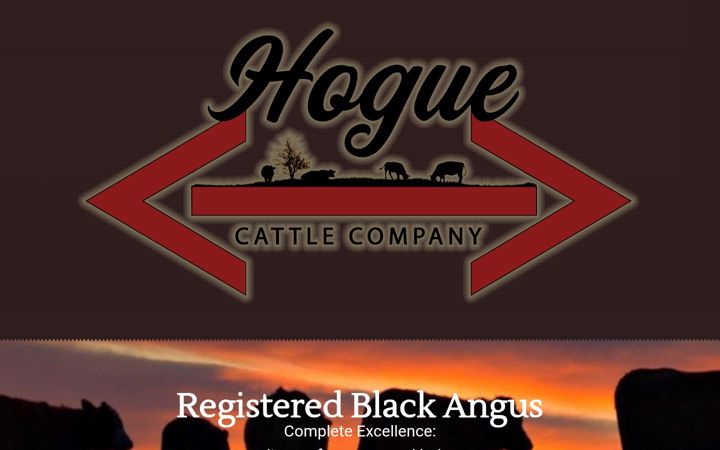 Screenshot of hoguecattleco.com