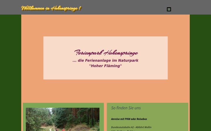 Screenshot of hohenspringe.de