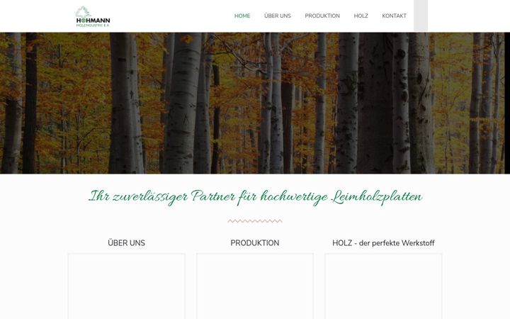 Screenshot of hohmann-holzindustrie.de