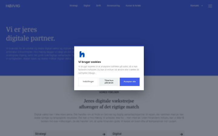 Screenshot von hojvig.dk