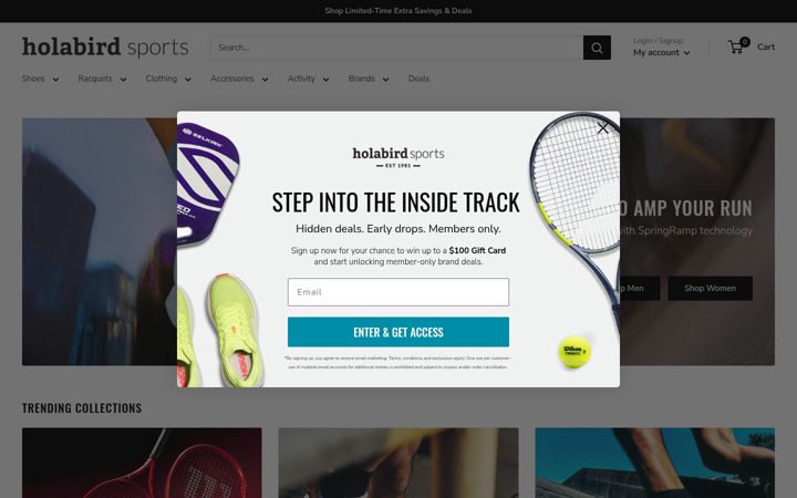 Screenshot of holabirdsports.com