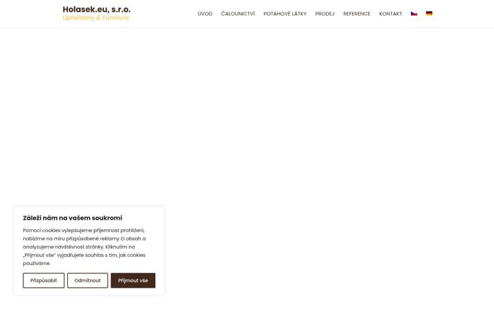 Screenshot of holasek.eu