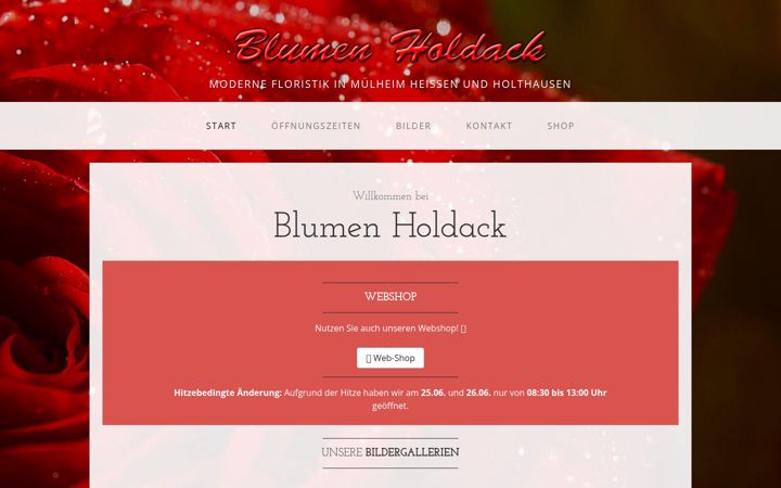 Screenshot of holdack-blumen.de