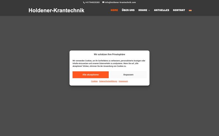 Screenshot of holdener-krantechnik.com